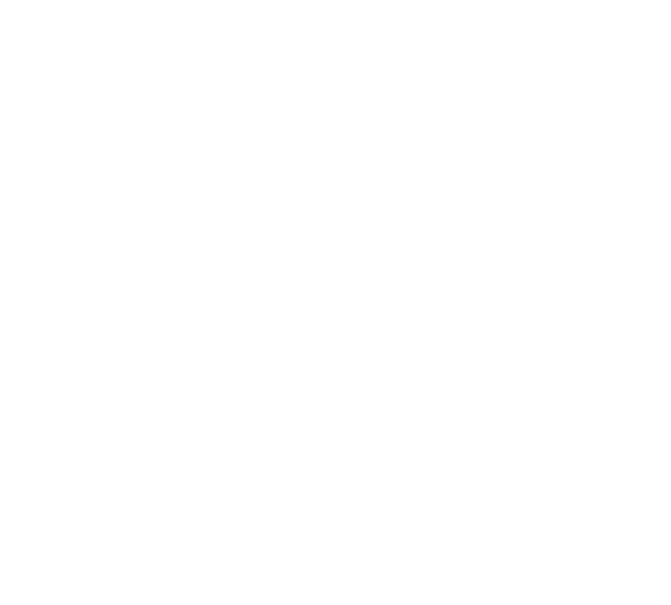 Kestrel Kinetics Logo